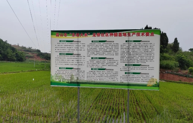 定制化肥料解決方案，助力東坡大米產(chǎn)業(yè)健康發(fā)展